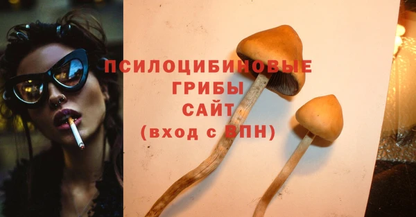 индика Алзамай