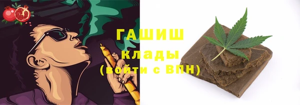 индика Алзамай